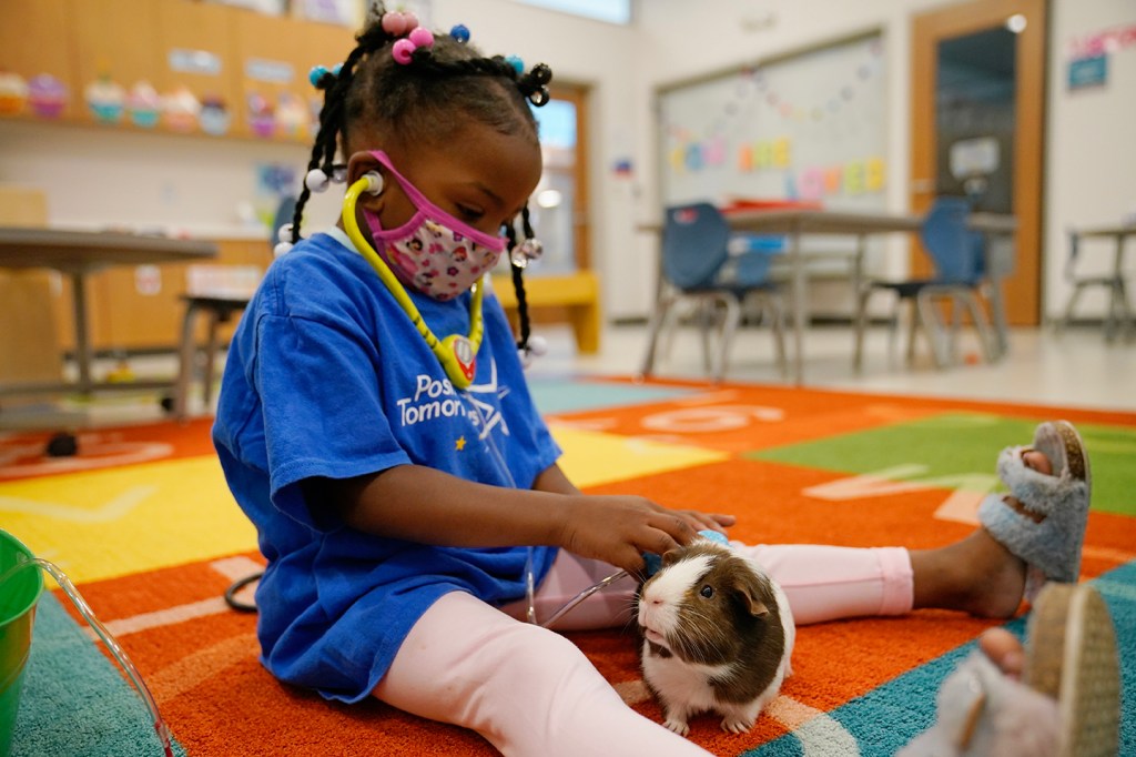 The Surge of Universal Pre-K: A Bipartisan Movement Transforming Early Childhood&nbsp;Education